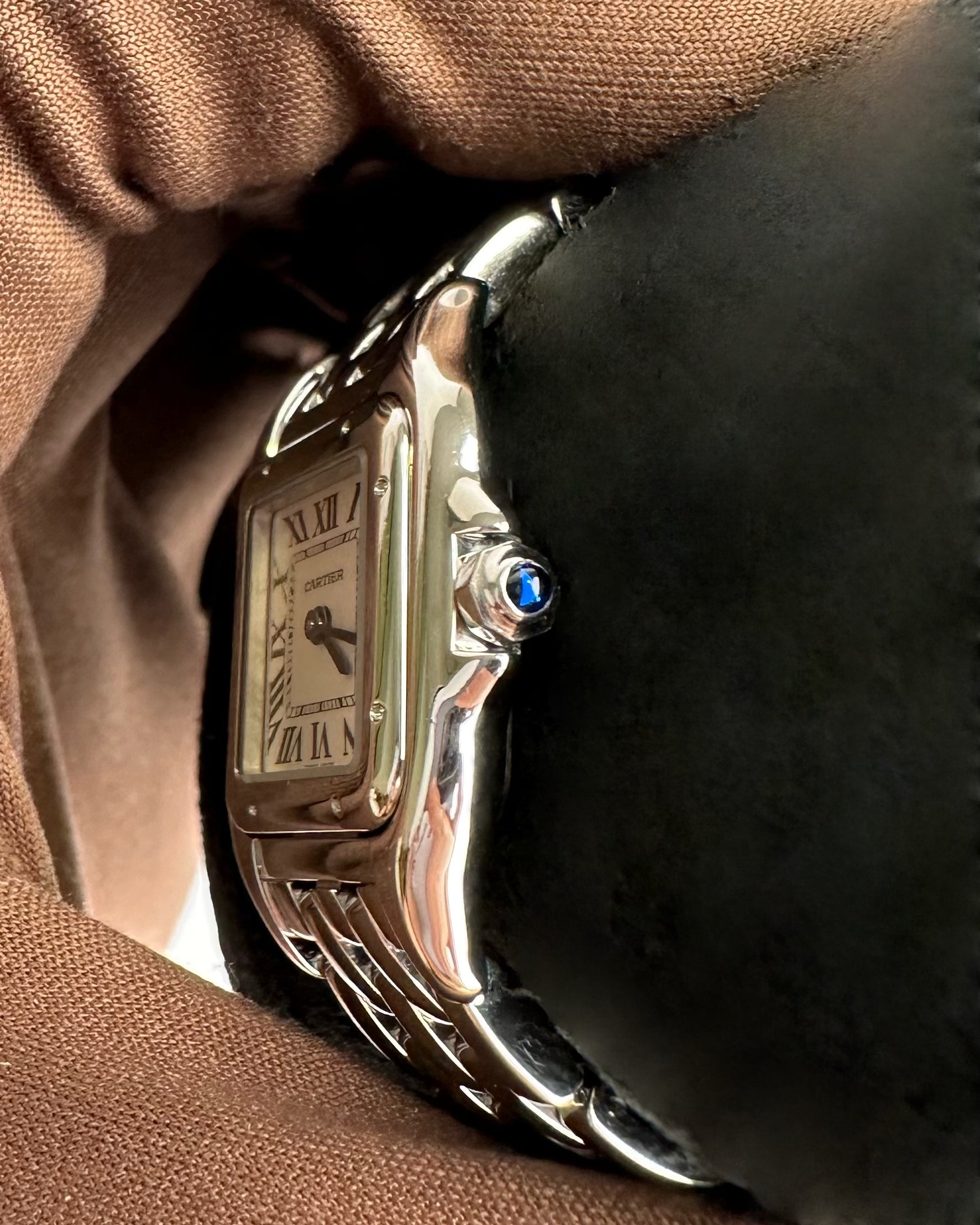 Cartier Panthère WSPN0006 Steel Ladies Watch